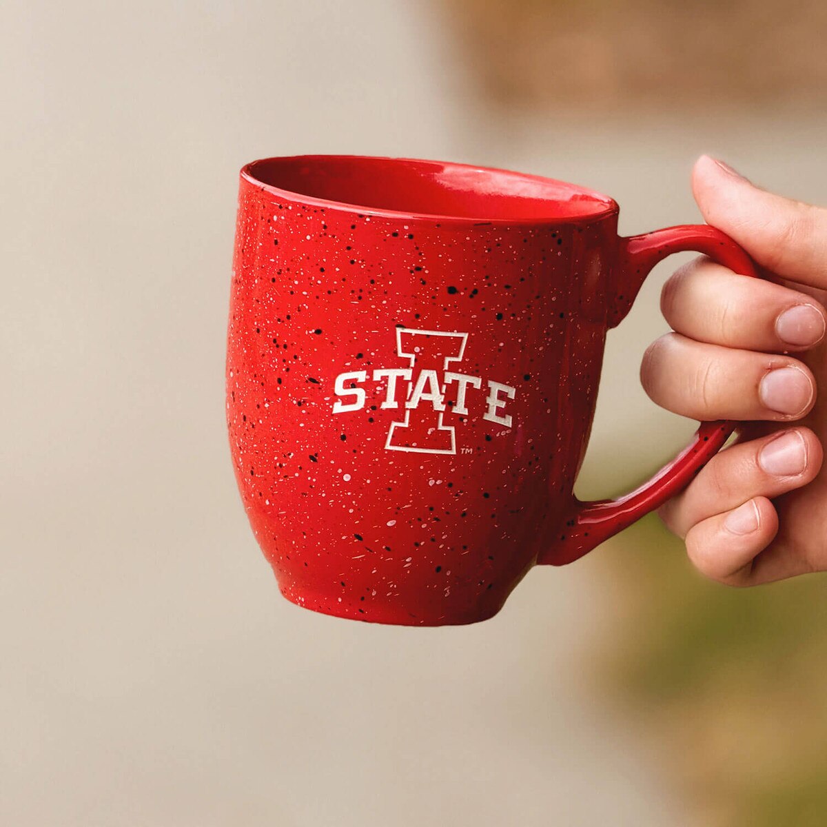 I-State Cardinal Speckled Bistro Mug 16-ounce